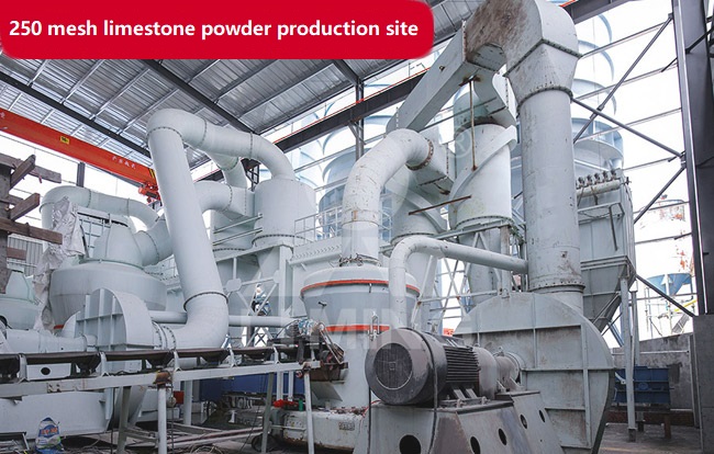 250 mesh limestone powder production site